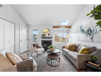 a living room with furniture a rug and a fireplace