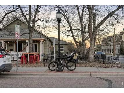 a view of a backyard with large trees