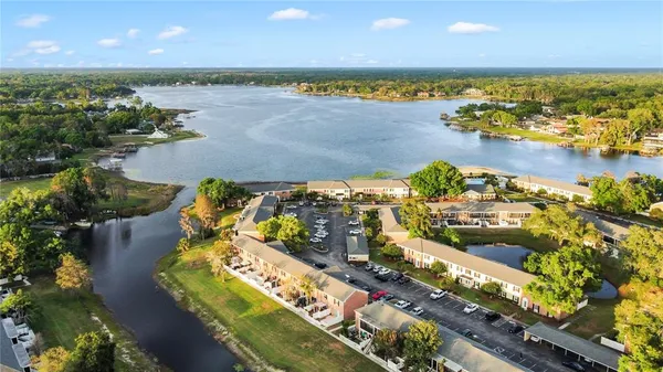 a view of road with tall trees