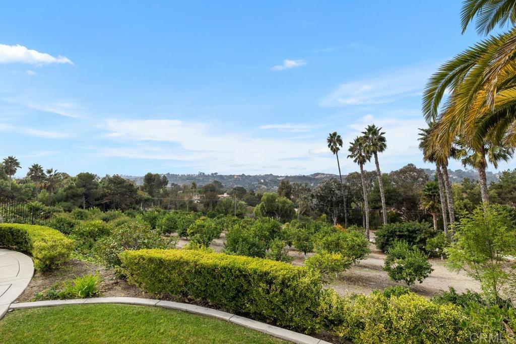 4715 La Noria Rancho Santa Fe, CA 92067 - Photo 23 of 26 a view of a yard with palm trees