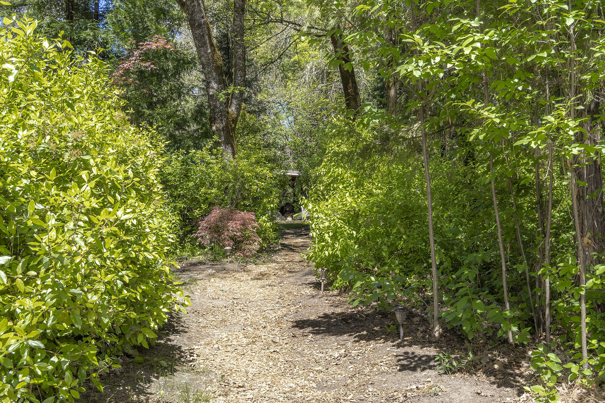 2601 Sand Creek Road Grants Pass, OR 97527 - Photo 56 of 71 55