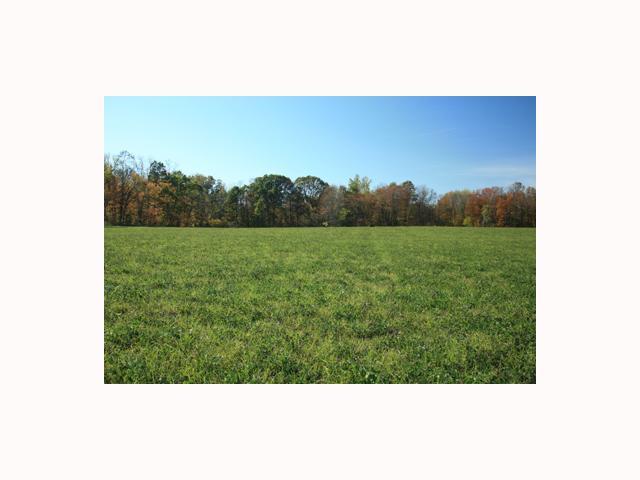 0 Morrow Cty Rd Mount Mount Gilead, OH 43338 - Photo 2 of 3