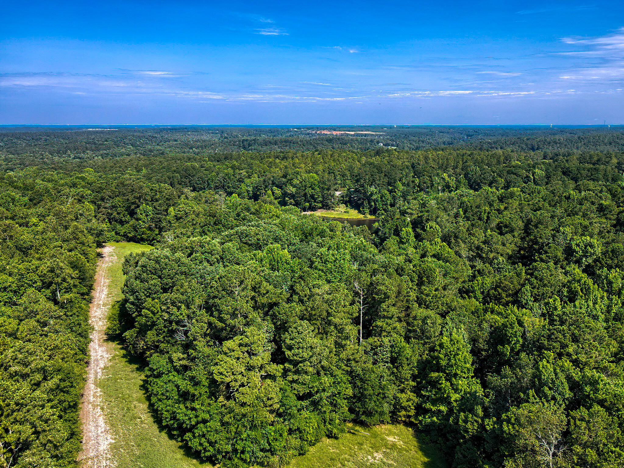 1290 Richardsons Lake Road Aiken, SC 29803 - Photo 59 of 101