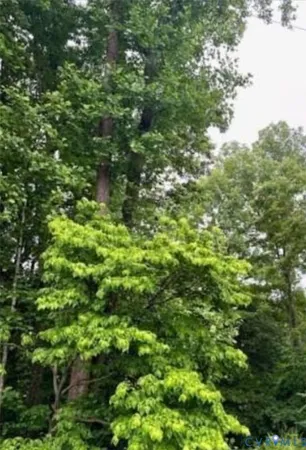 $35,000 | 0 Spain, Petersburg, VA 23805