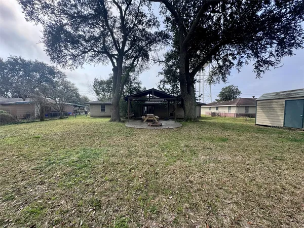 a view of a garden with a tree