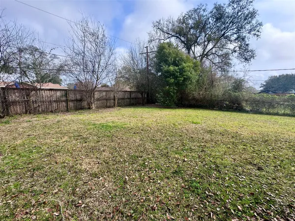 a view of a yard with a trees