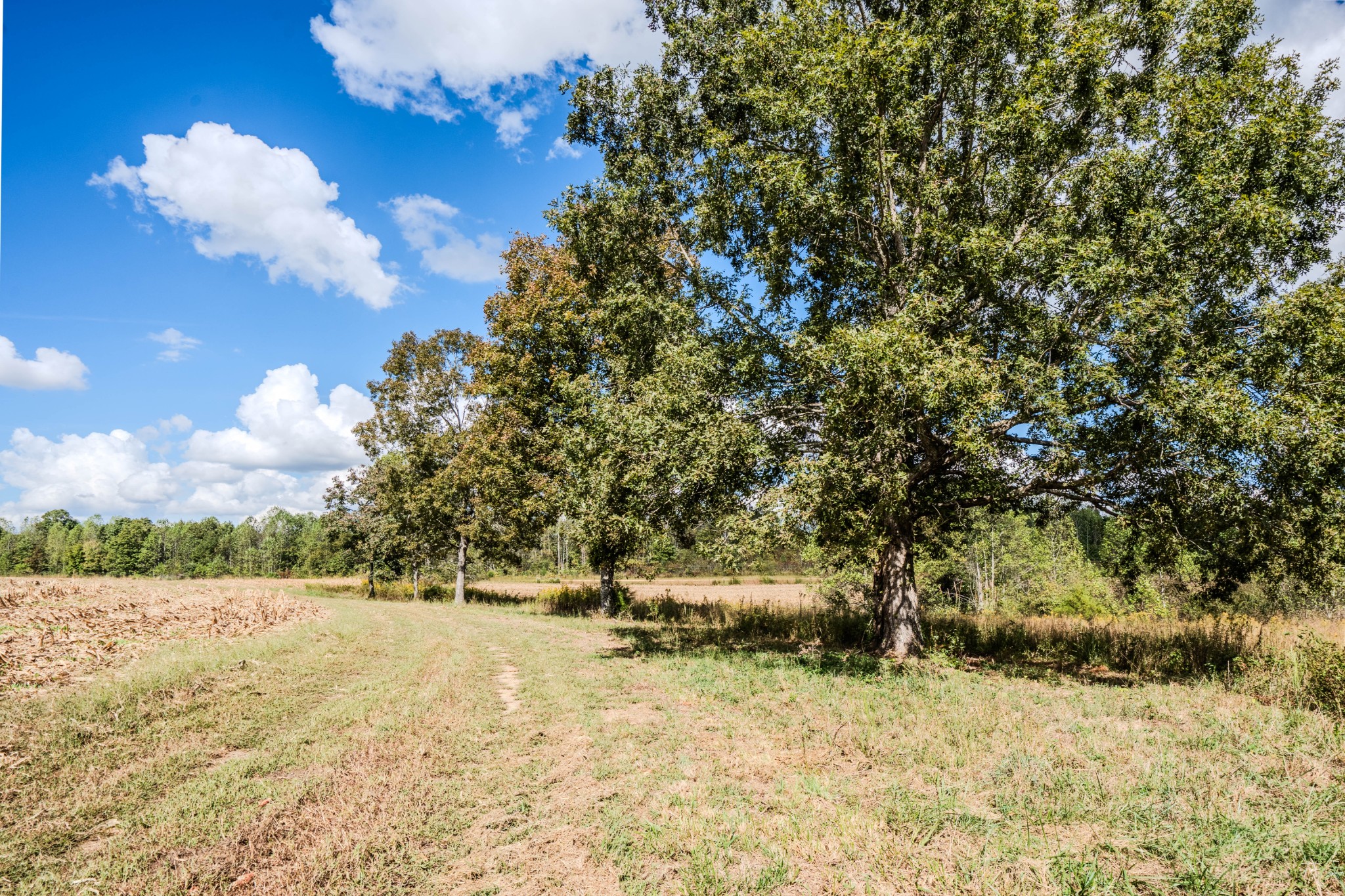 0 South Randall Road Westpoint, TN 38486 - Photo 50 of 79