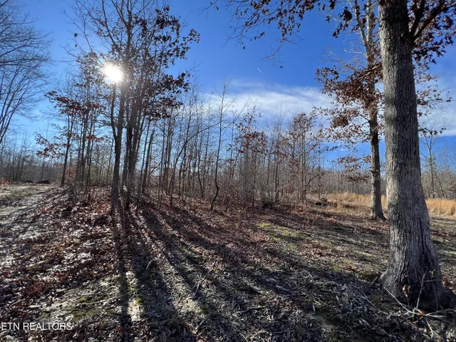 $45,000 | Lot J McCartt Ridge Road, Sunbright, TN 37872