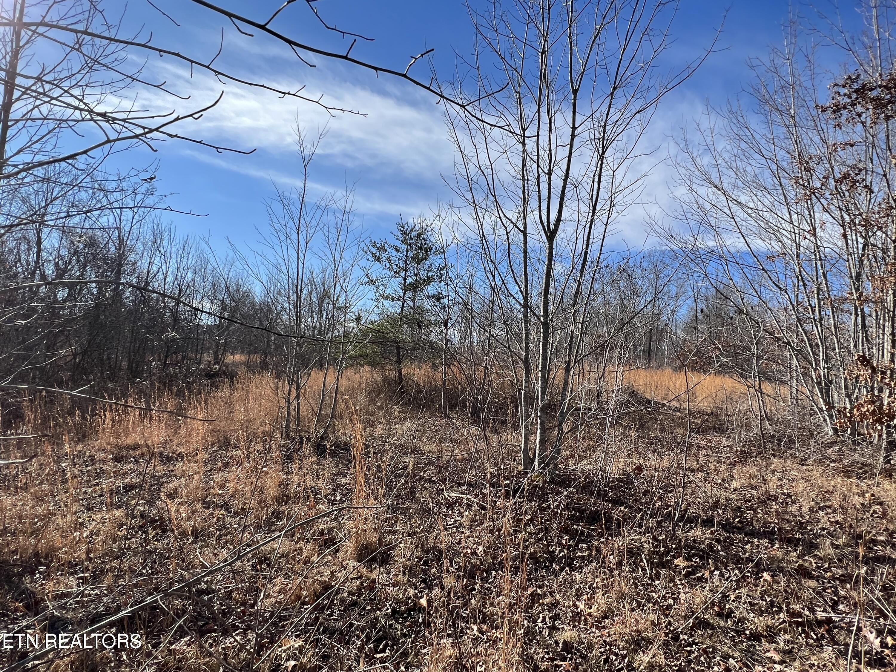 Lot J McCartt Ridge Road Sunbright, TN 37872 - Photo 11 of 21 IMG_2787