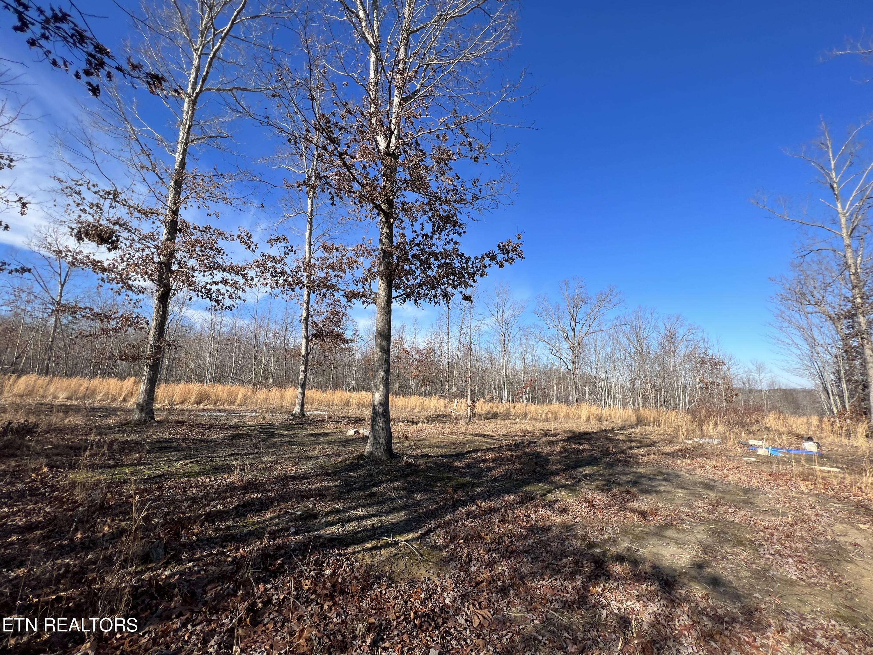 Lot J McCartt Ridge Road Sunbright, TN 37872 - Photo 13 of 21 IMG_2782