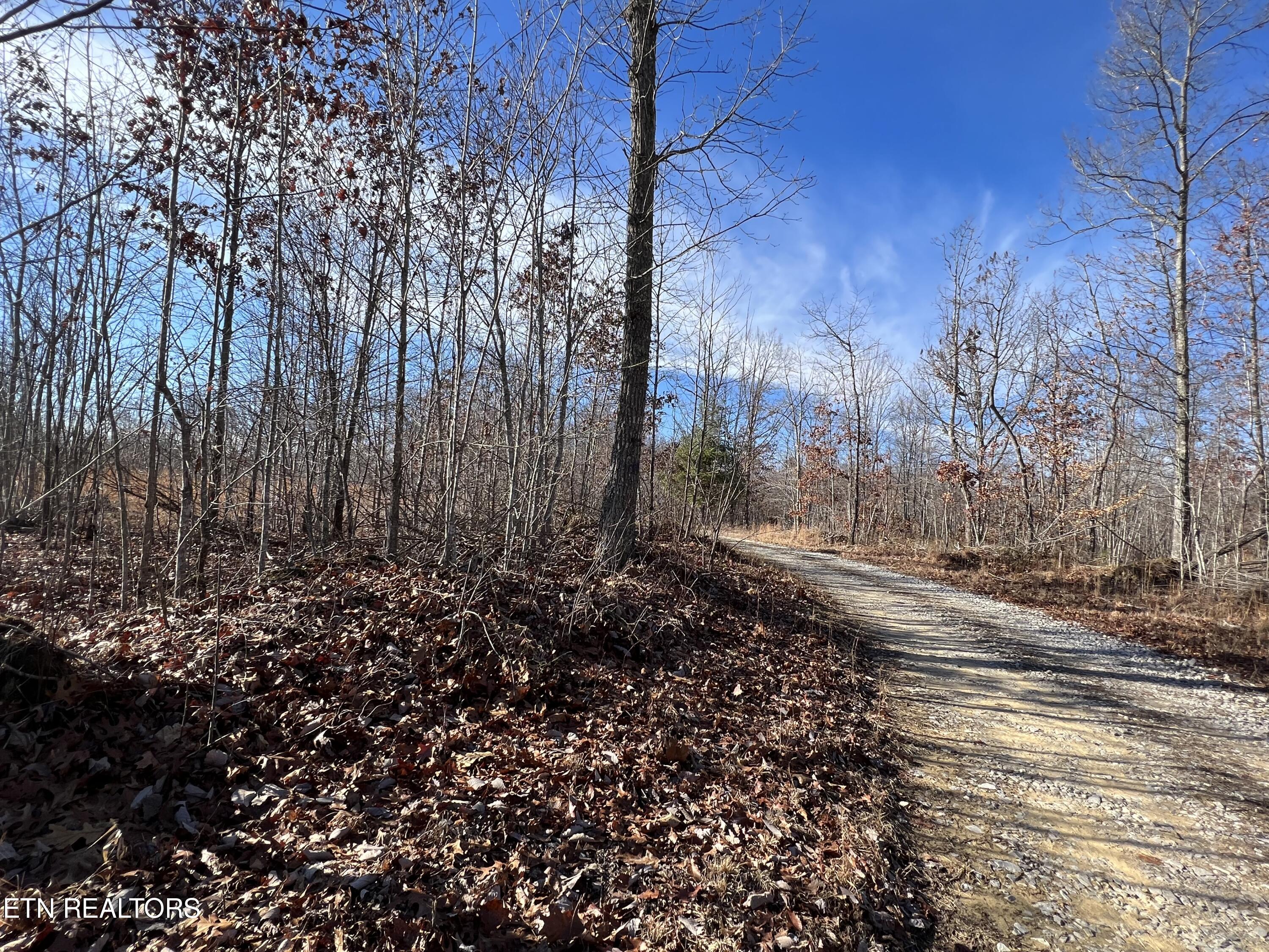 Lot J McCartt Ridge Road Sunbright, TN 37872 - Photo 15 of 21 IMG_2785