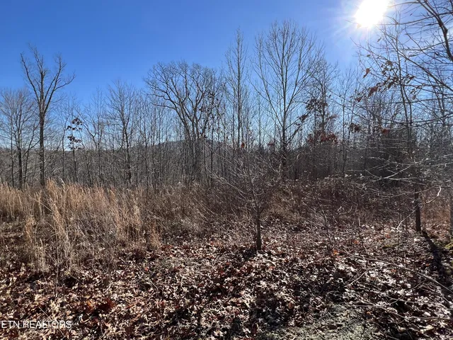 $45,000 | Lot J McCartt Ridge Road, Sunbright, TN 37872