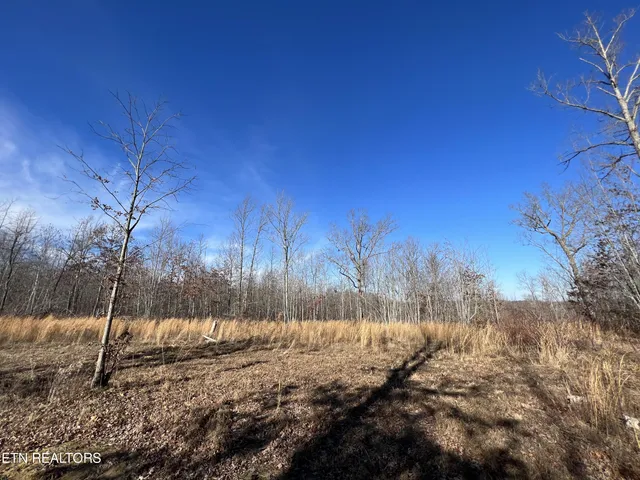 $45,000 | Lot J McCartt Ridge Road, Sunbright, TN 37872