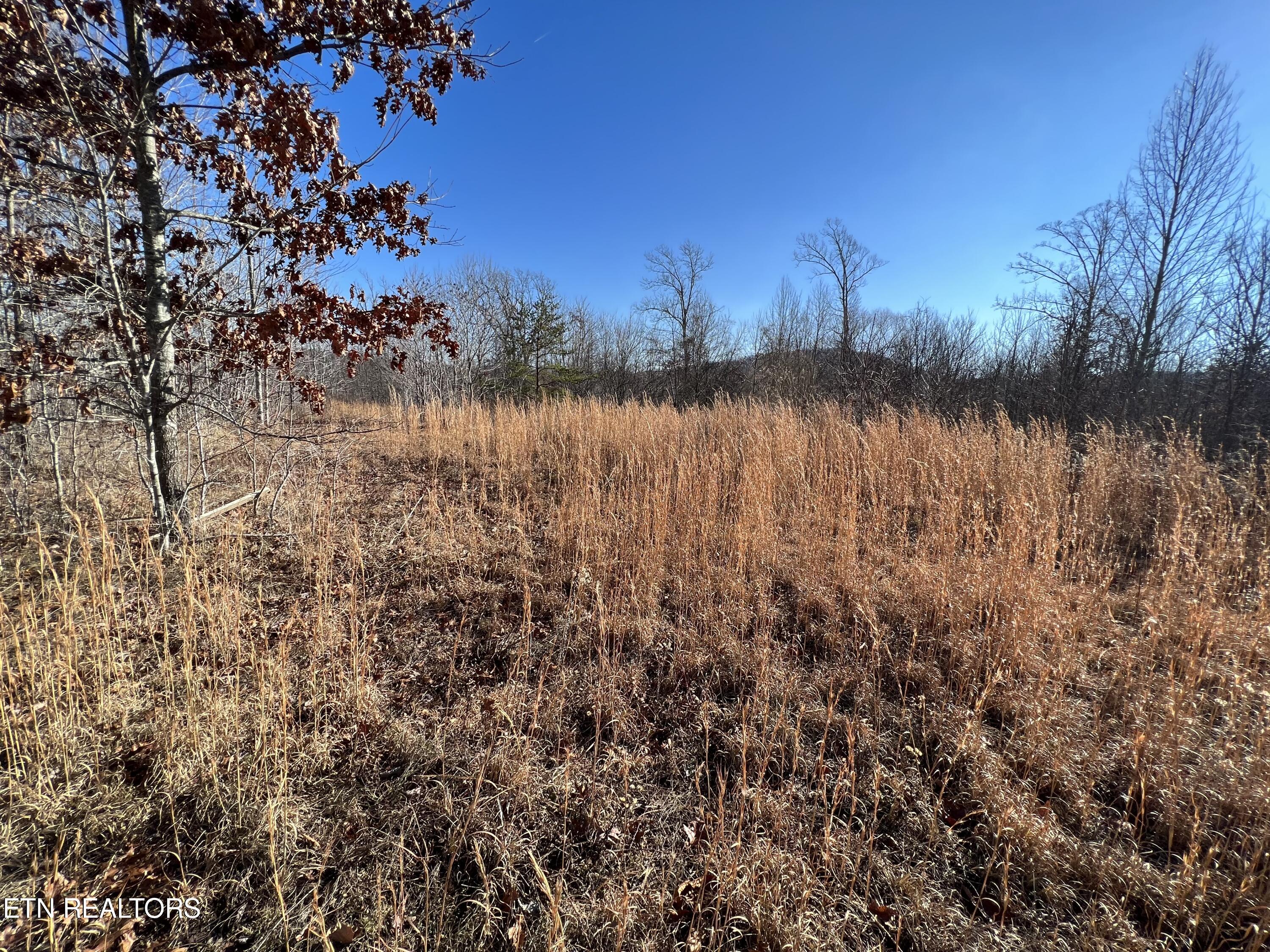 Lot J McCartt Ridge Road Sunbright, TN 37872 - Photo 18 of 21 IMG_2791