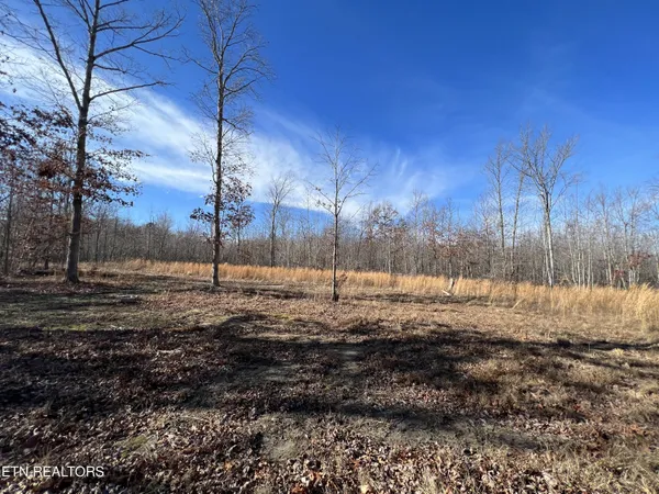 $45,000 | Lot J McCartt Ridge Road, Sunbright, TN 37872