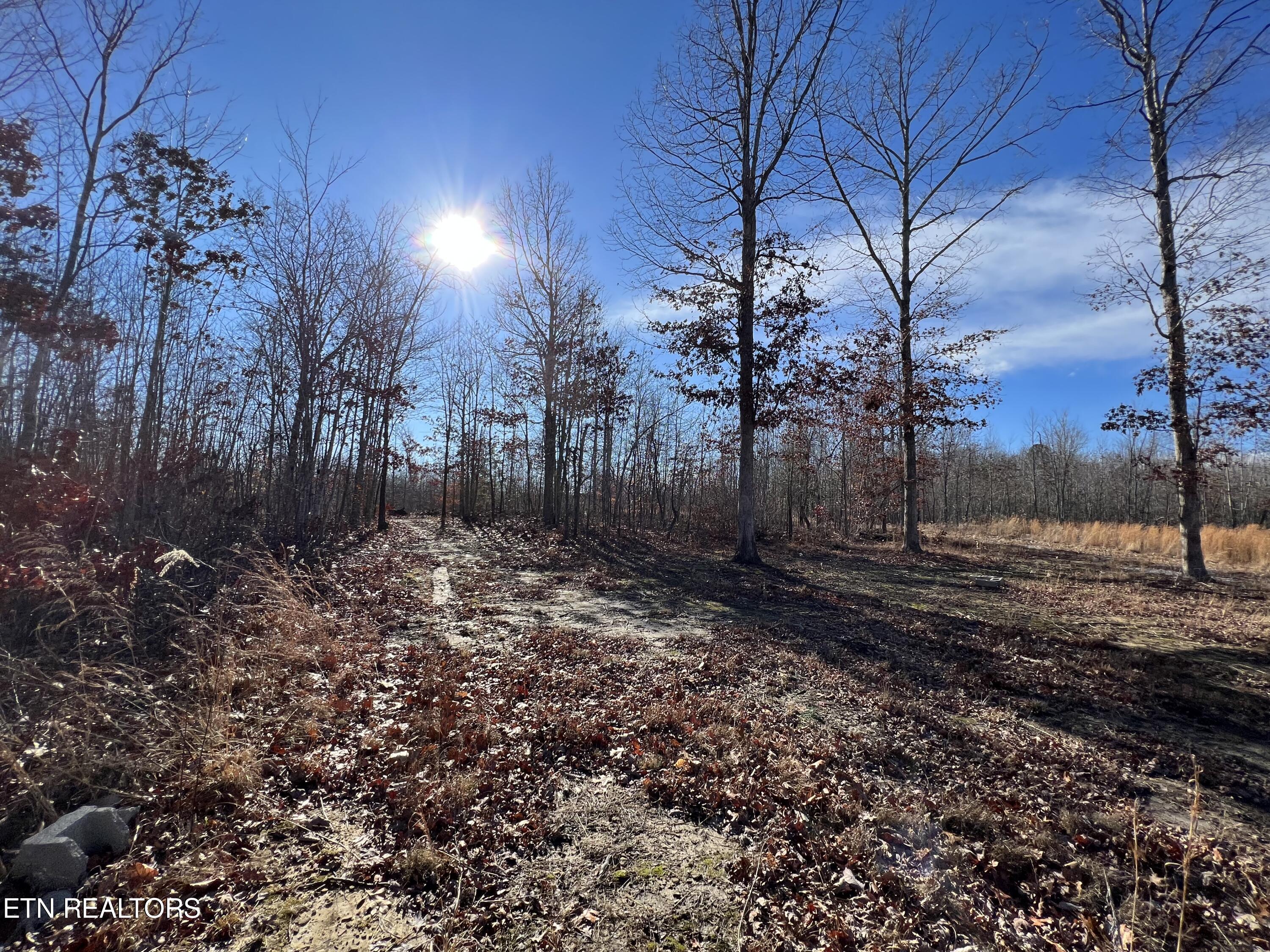 Lot J McCartt Ridge Road Sunbright, TN 37872 - Photo 4 of 21 IMG_2778