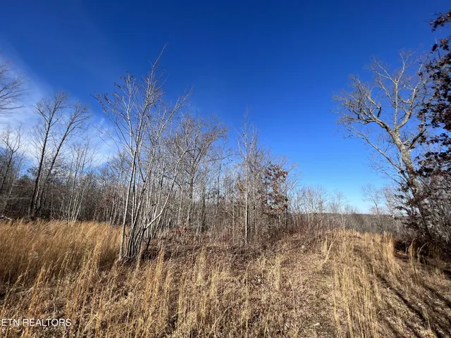 $45,000 | Lot J McCartt Ridge Road, Sunbright, TN 37872