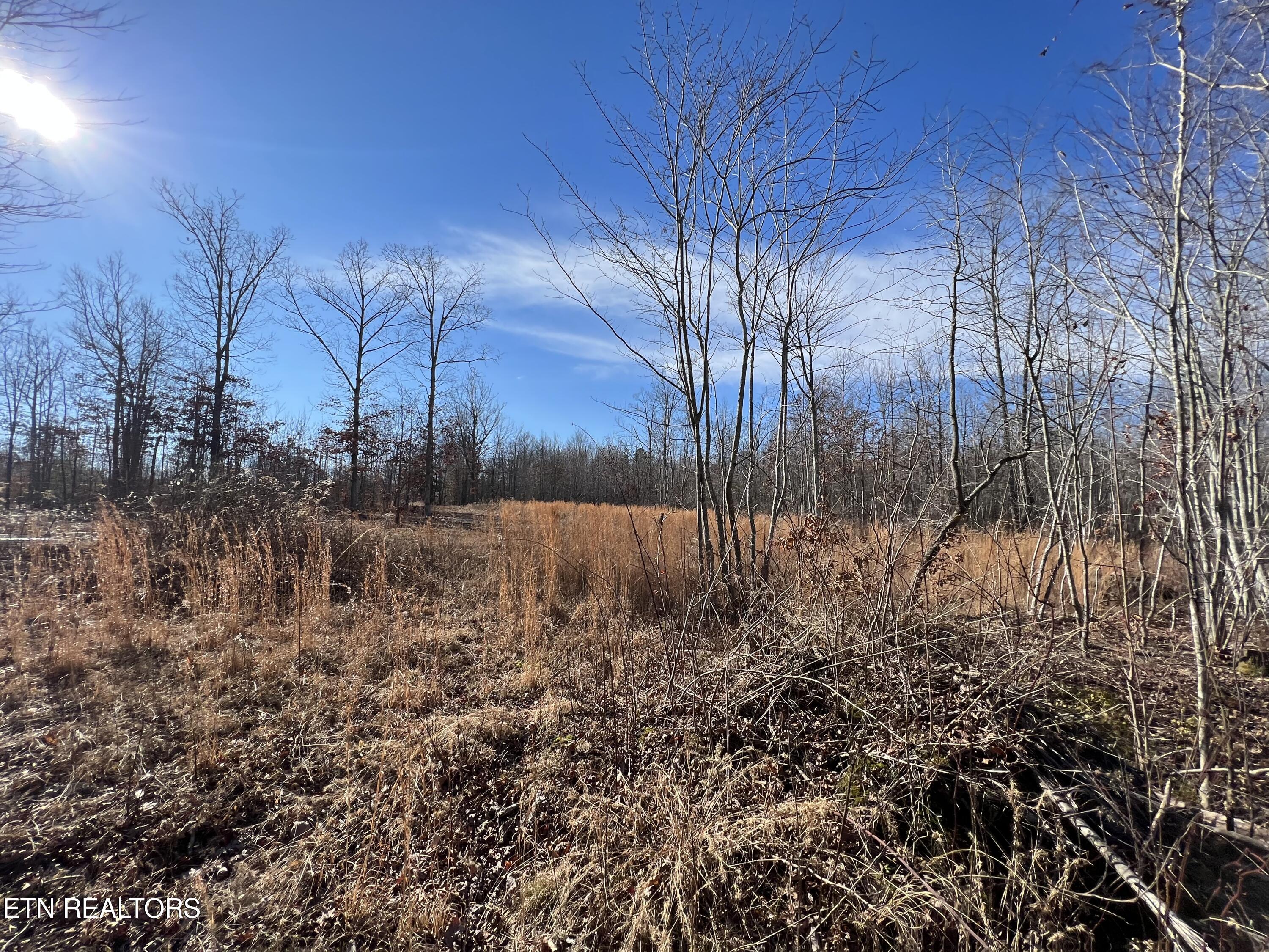 Lot J McCartt Ridge Road Sunbright, TN 37872 - Photo 6 of 21 IMG_2773