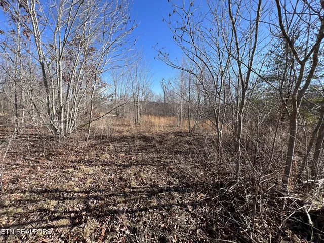 $45,000 | Lot J McCartt Ridge Road, Sunbright, TN 37872