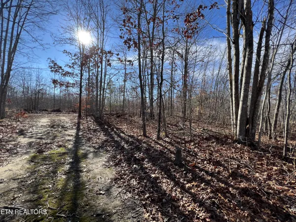 $45,000 | Lot J McCartt Ridge Road, Sunbright, TN 37872