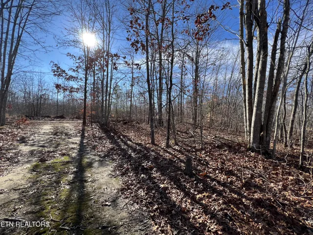 $45,000 | Lot J McCartt Ridge Road, Sunbright, TN 37872