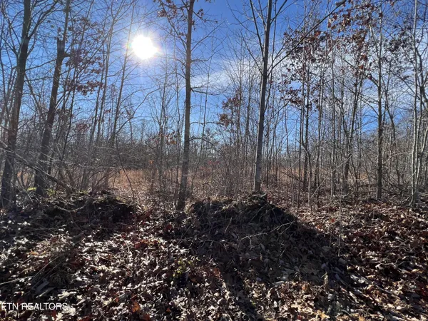 $45,000 | Lot J McCartt Ridge Road, Sunbright, TN 37872
