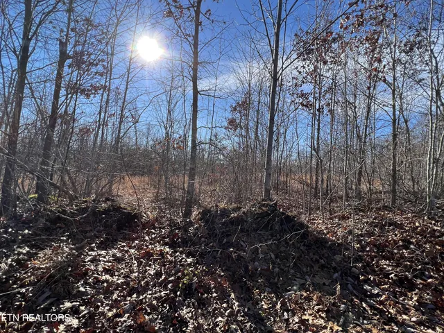 $45,000 | Lot J McCartt Ridge Road, Sunbright, TN 37872