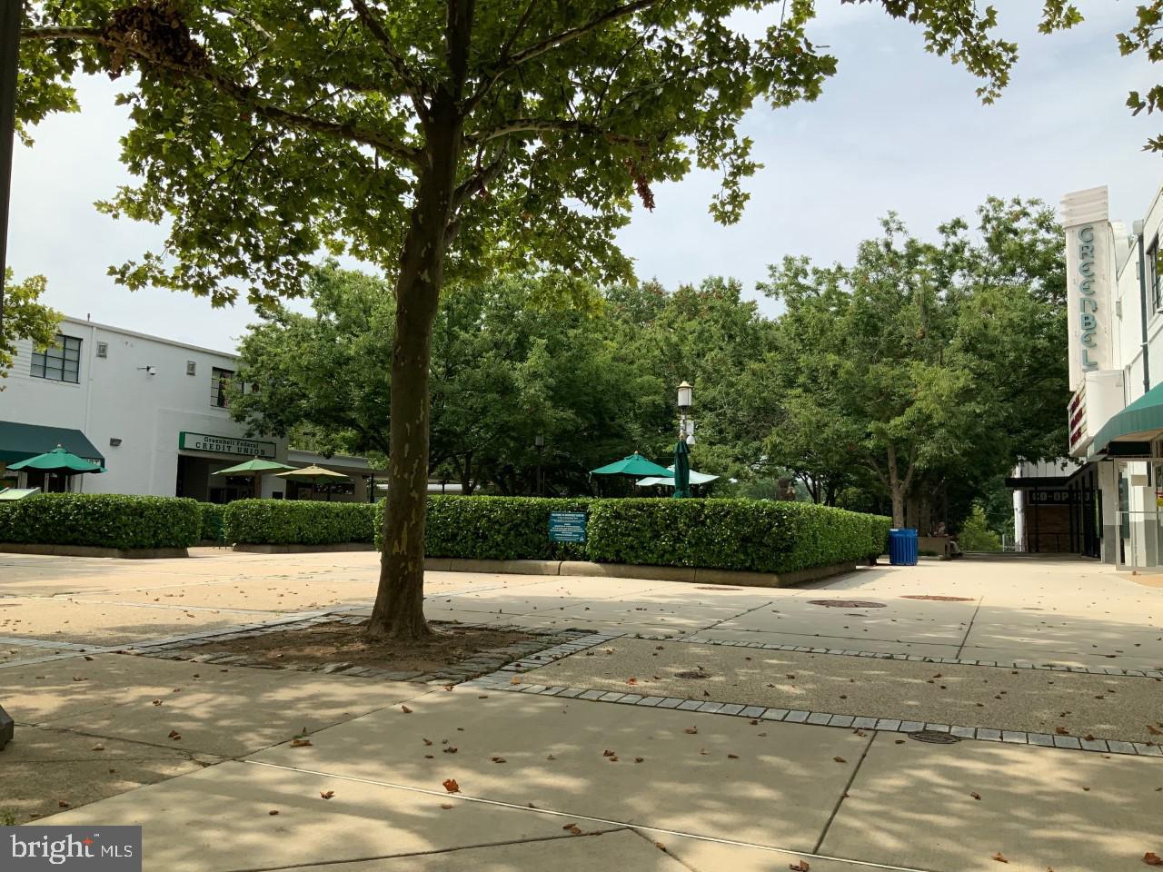 36 Ridge Road Greenbelt, MD 20770 - Photo 19 of 27 a view of a park with potted plants and large trees