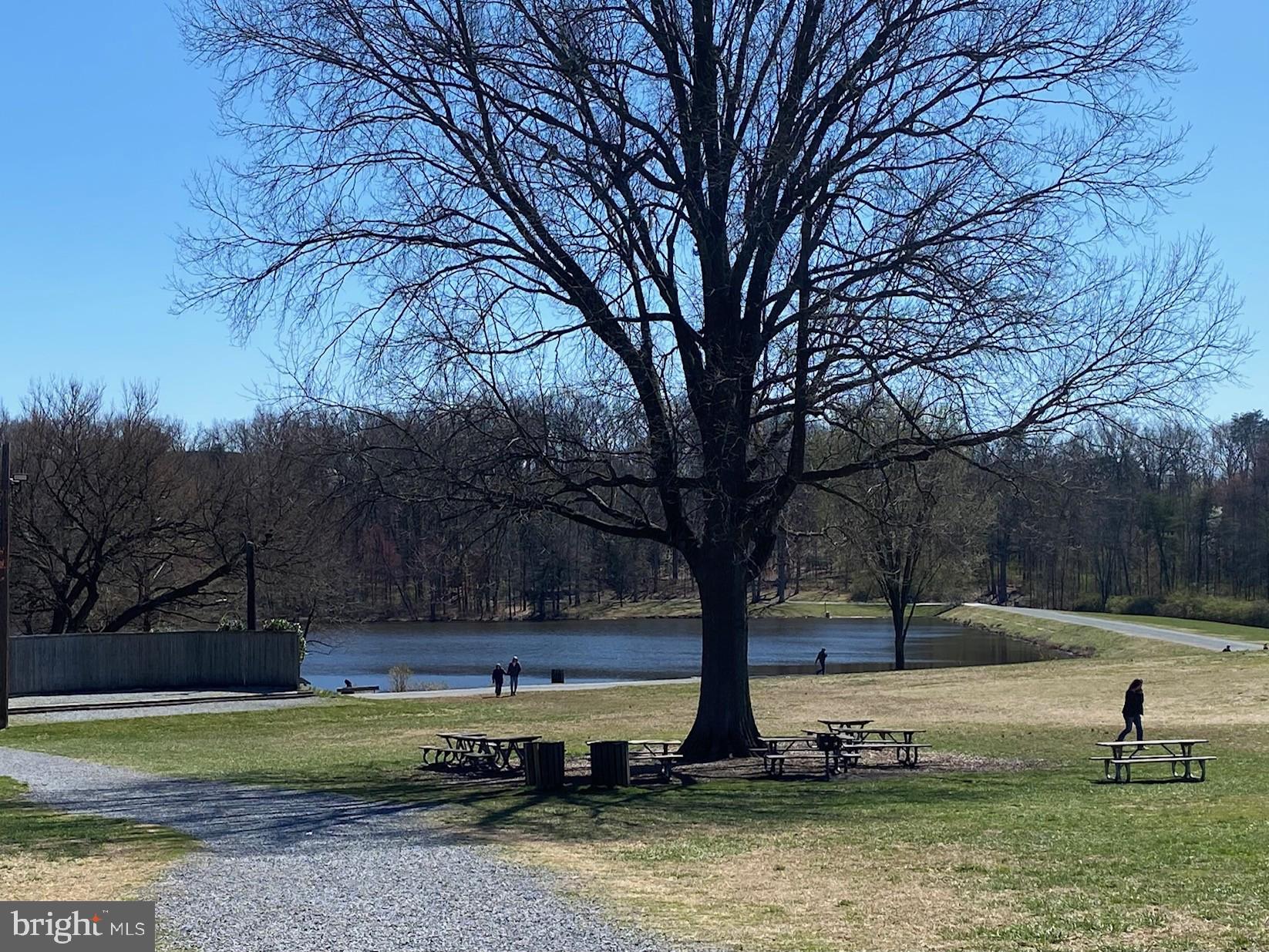 36 Ridge Road Greenbelt, MD 20770 - Photo 25 of 27 a view of a park with large trees