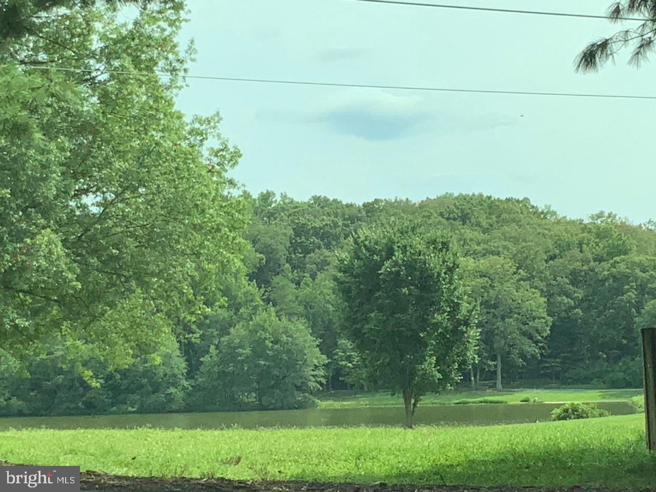 36 Ridge Road Greenbelt, MD 20770 - Photo 26 of 27 a view of a field with a tree in the background
