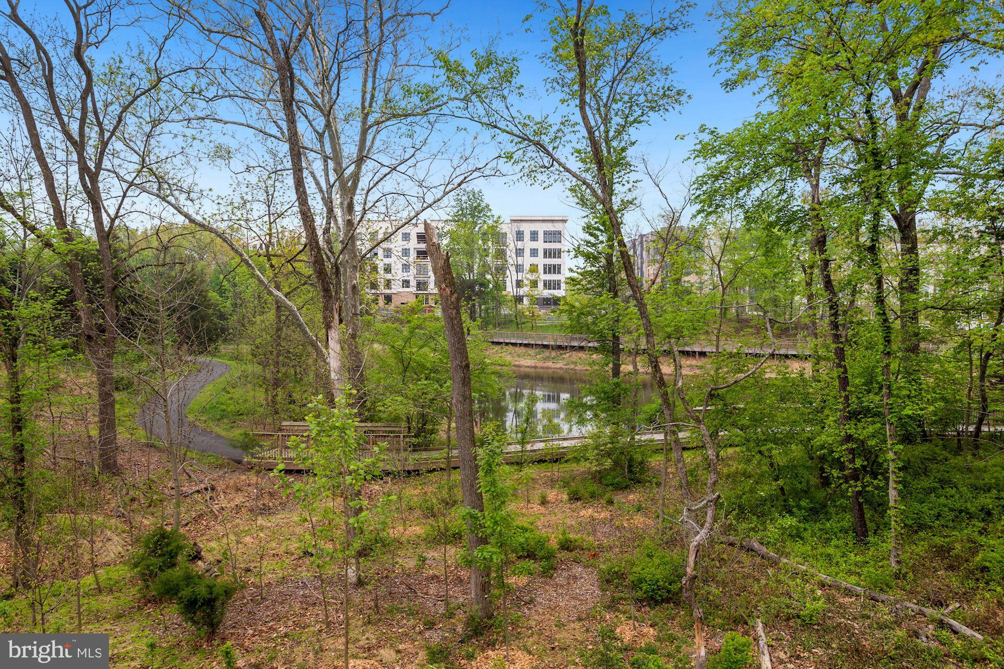 14575 Lakestone Drive Chantilly, VA 20151 - Photo 50 of 50 Community Lake
