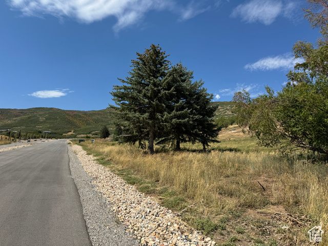 944 West Wards Lane, Unit 3 Midway, UT 84049 - Photo 4 of 59 View of street with a mountain view and a rural view