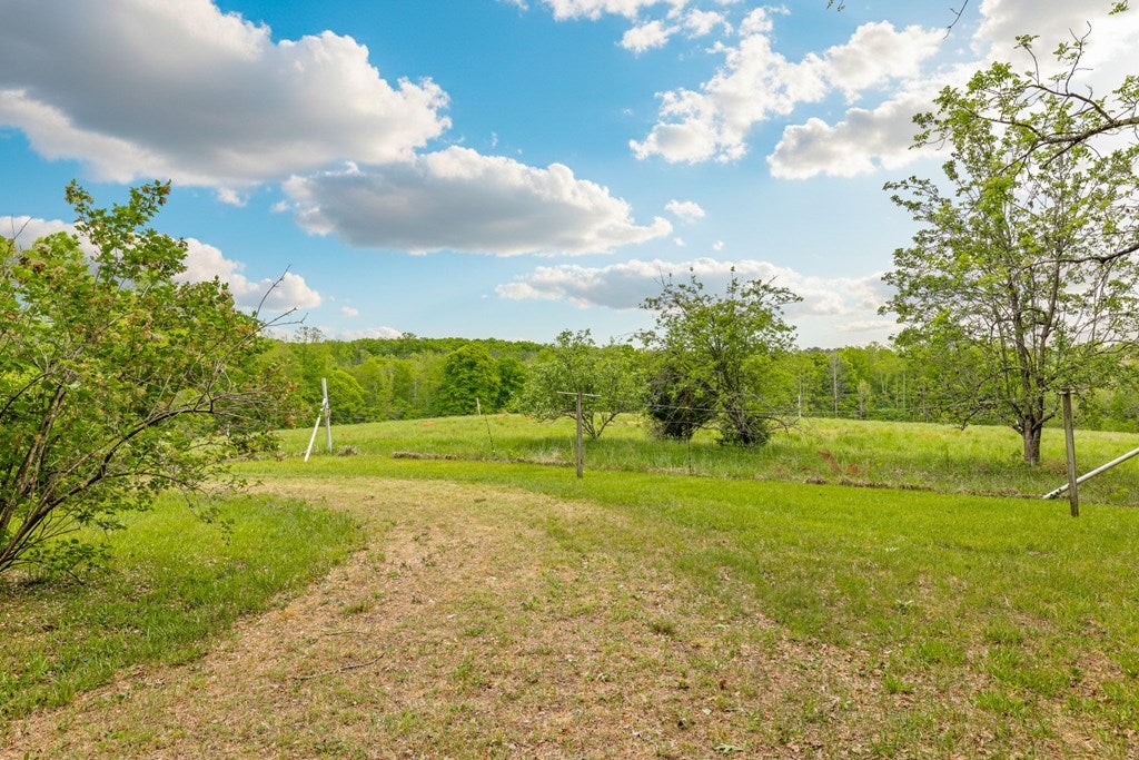 3537 Hardy Road Keysville, VA 23947 - Photo 48 of 80 Gallery Image 48