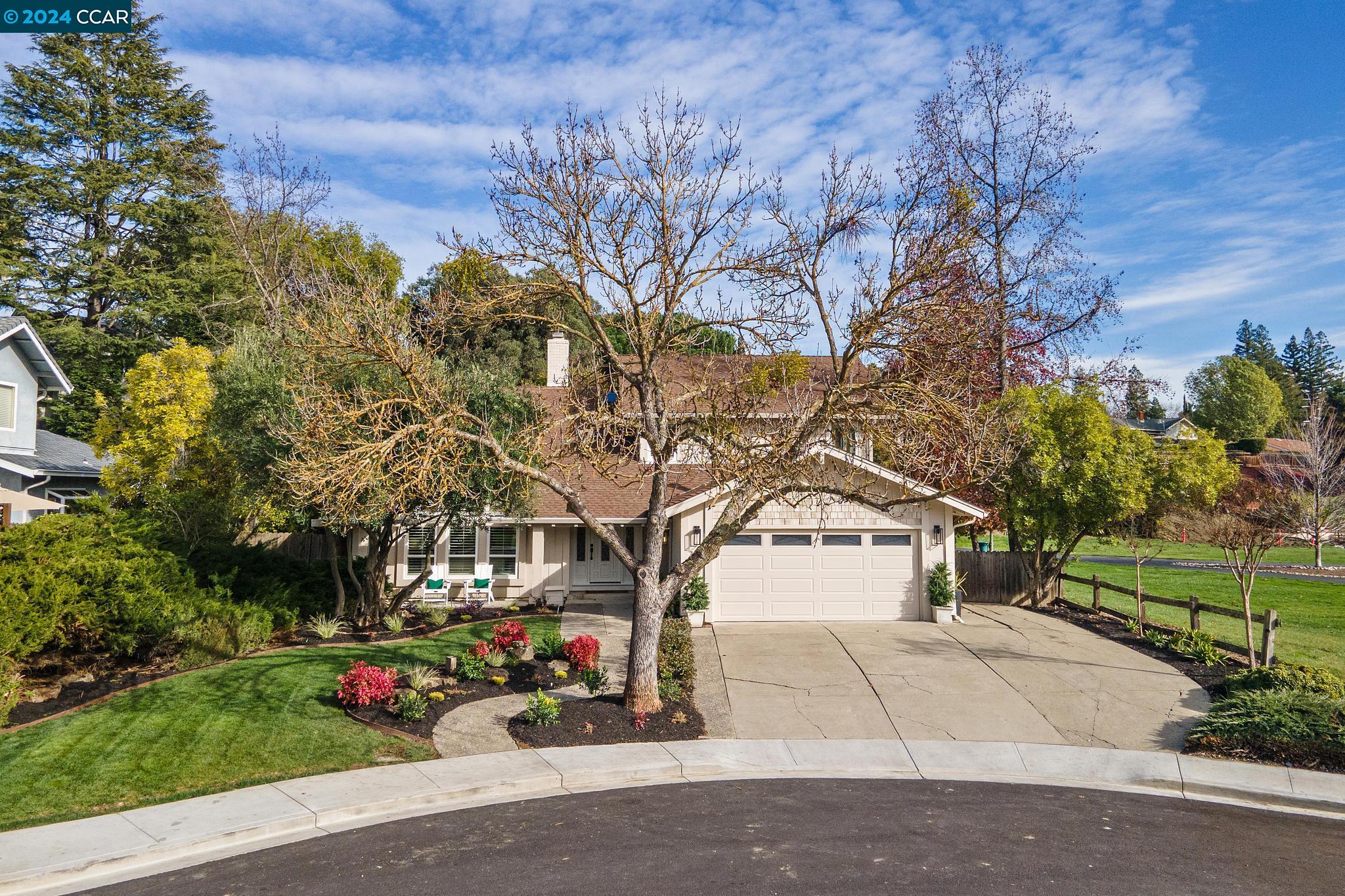 a view of road with large trees