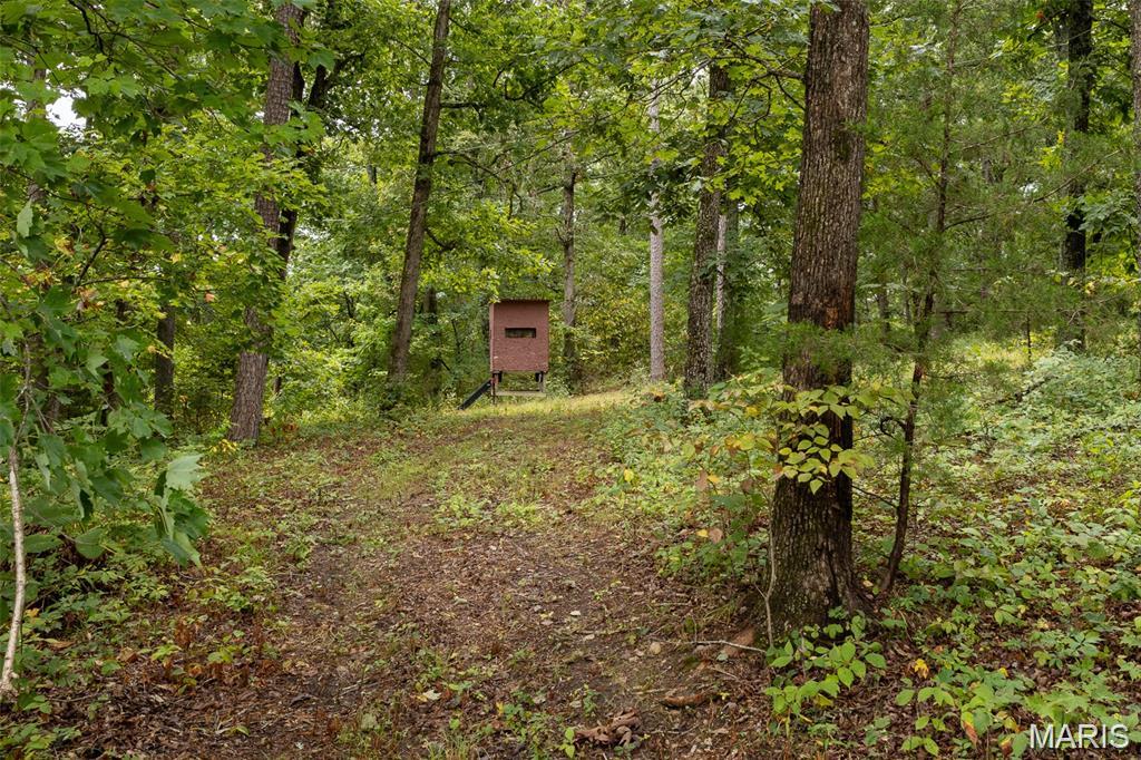10300 Prescott Road Licking, MO 65542 - Photo 39 of 51
