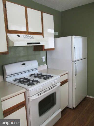 21009 Timber Ridge Terrace, Unit 102 Ashburn, VA 20147 - Photo 9 of 20 Kitchen