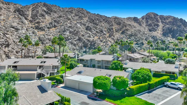 a view of a backyard with plants