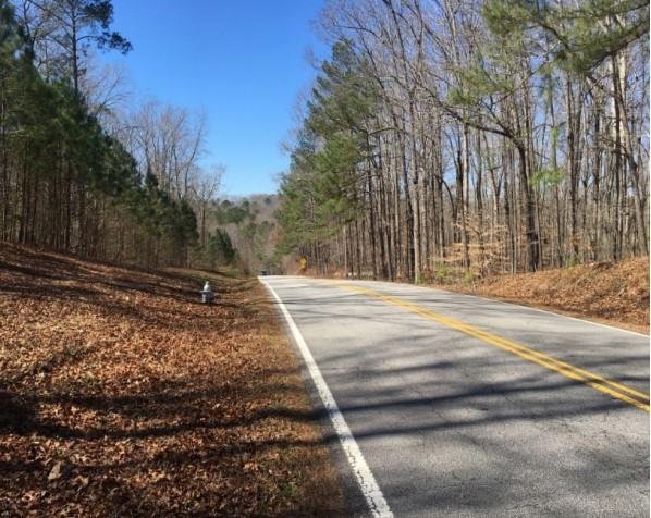 0 Dorsett Shoals Road Douglasville, GA 30135 - Photo 6 of 7 a view of backyard with green space