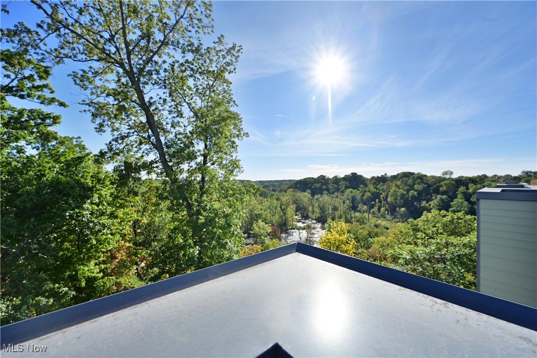 18875 Riversouth Fairview Park, Unit 30 Cleveland, OH 44126 - Photo 29 of 39 Balcony featuring a forest view