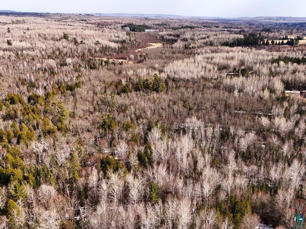 59-xx Jean Duluth Road Duluth, MN 55803 - Photo 7 of 11