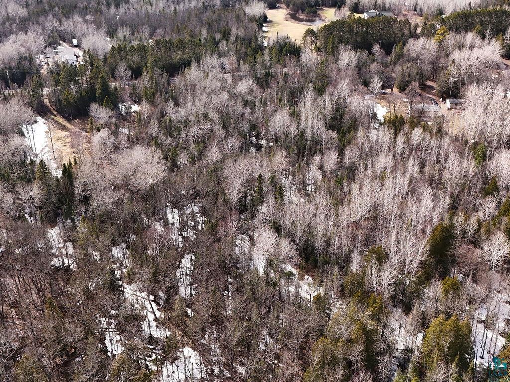 59-xx Jean Duluth Road Duluth, MN 55803 - Photo 8 of 11