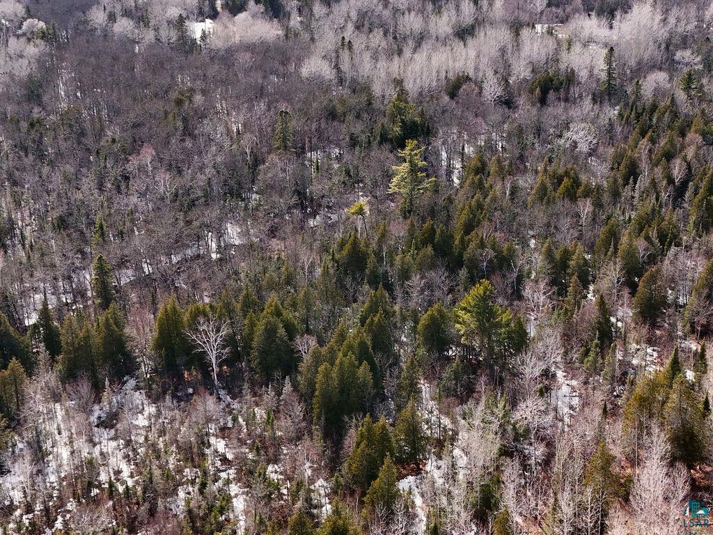 59-xx Jean Duluth Road Duluth, MN 55803 - Photo 9 of 11