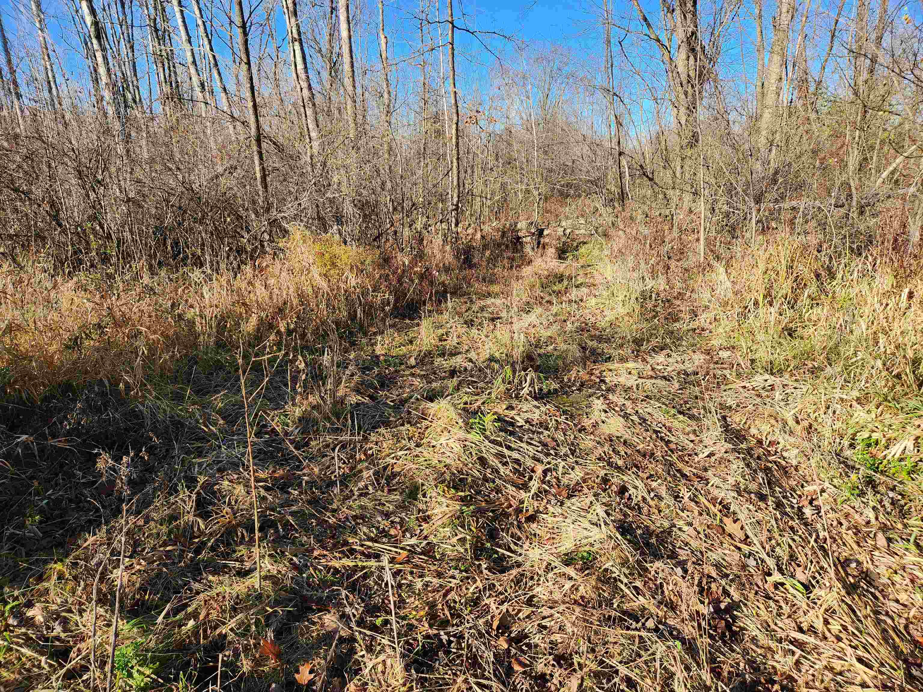 N/a South Crawford Road Omer, MI 48749 - Photo 2 of 8
