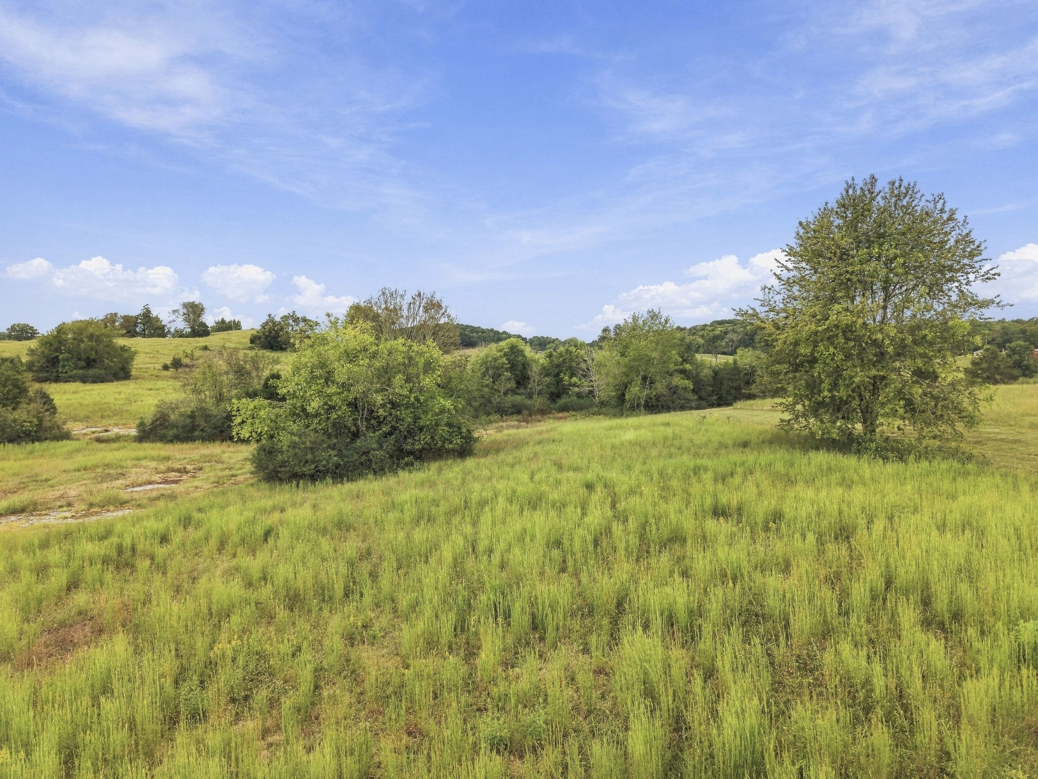 7 Cedar Bluff Road Lebanon, TN 37087 - Photo 4 of 17 Gallery Image 4