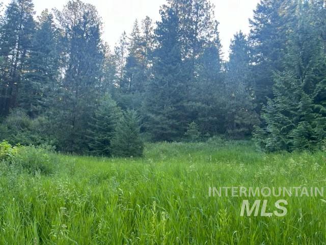 Tbd Bobcat Lane Lewiston, ID 83501 - Photo 2 of 7