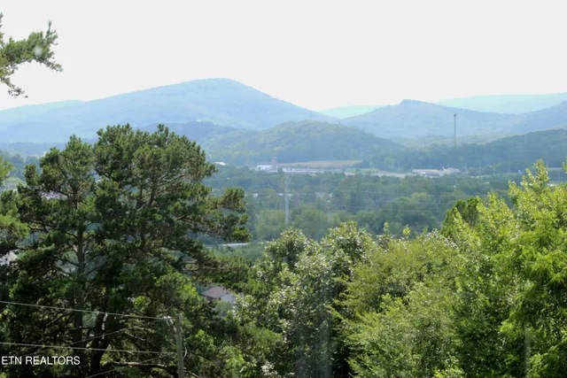 $550,000 | 203 Meadow Green Lane, Dayton, TN 37321