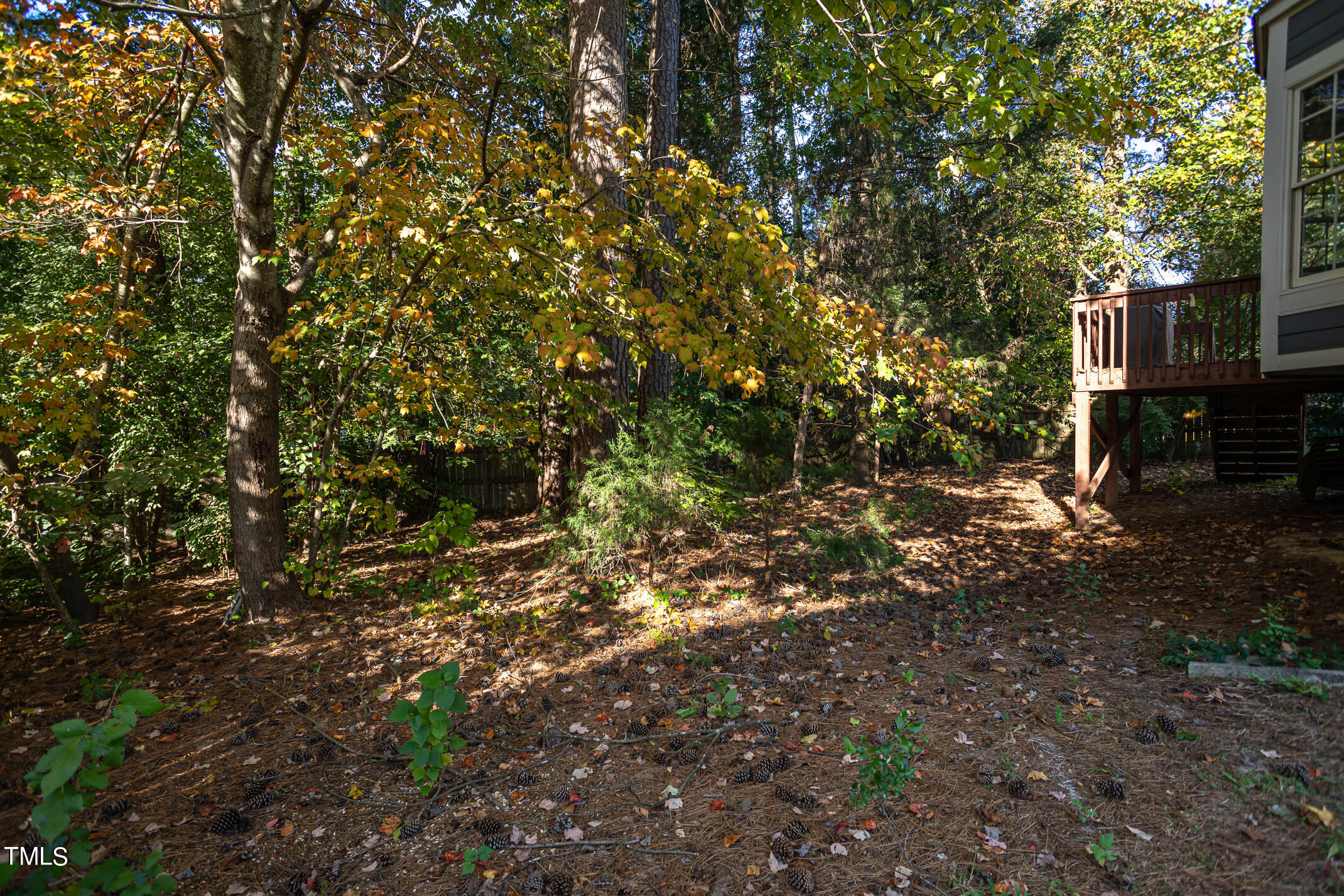 2304 Clerestory Place Raleigh, NC 27615 - Photo 30 of 30 Backyard