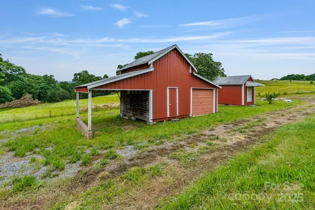 a view of a backyard with potted plants and large tree