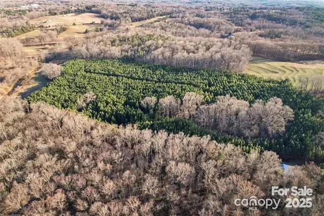 a view of a garden with a lot of trees
