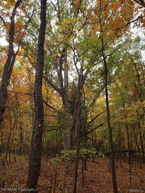 2 Wiggins Road Howell, MI 48855 - Photo 4 of 21